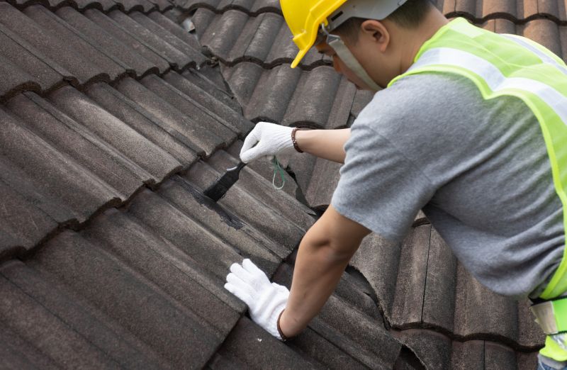 Roof Seam Repair