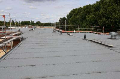 Roof Seam Repair